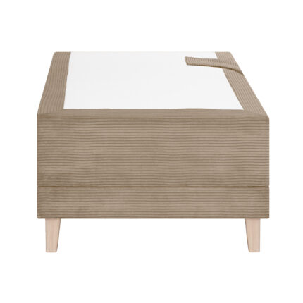 Mootorvoodi “Leonidas” - Image 3